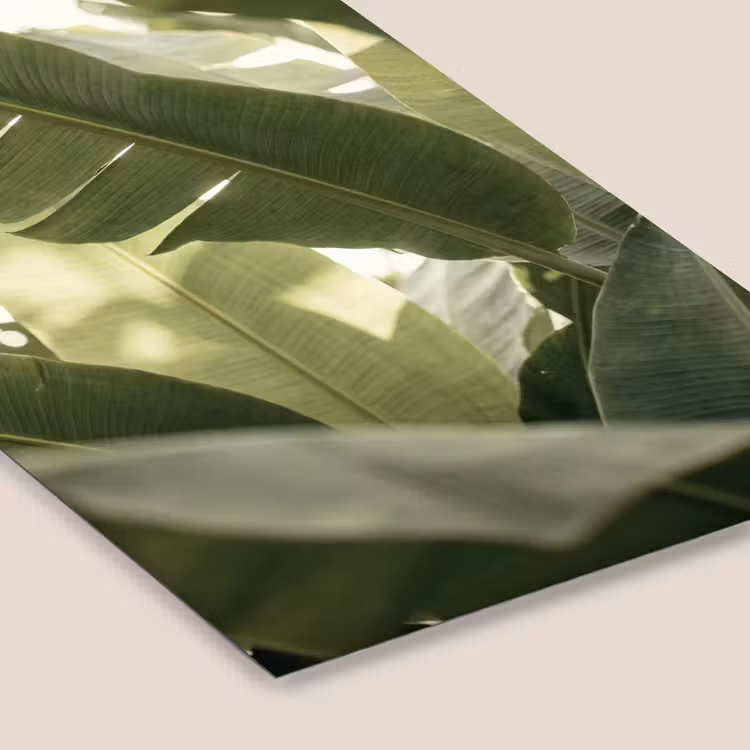 Natuur - Bladeren - Groen - Tropisch - Detail fotolijst zwart zonder passe partout klein -zsfeer6