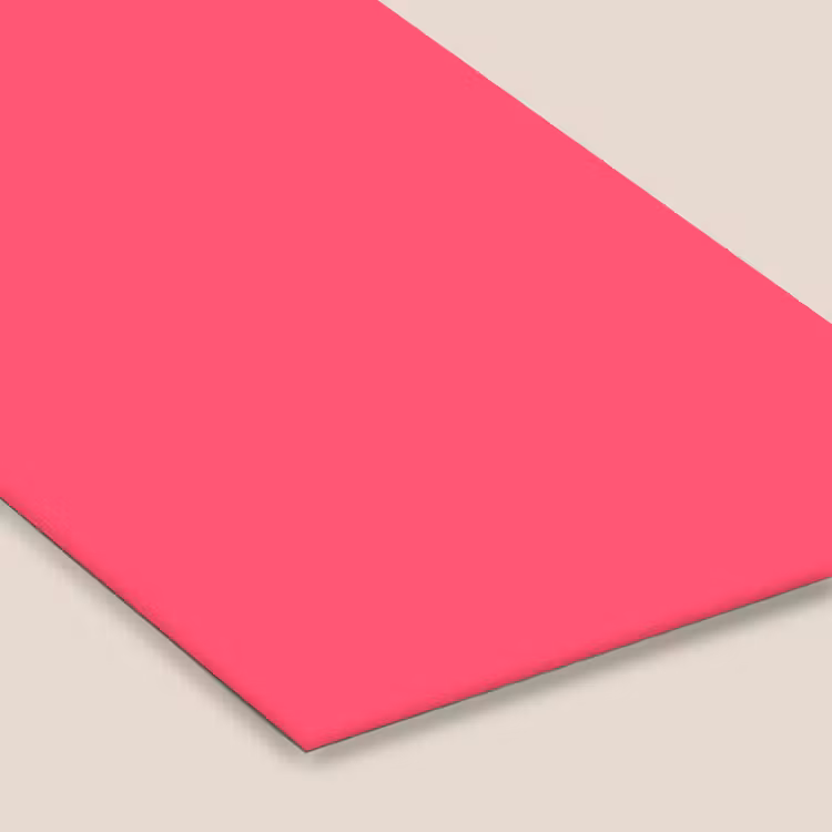 Neon - Flamingo - Roze fotolijst zwart zonder passe partout klein 224 -zsfeer6