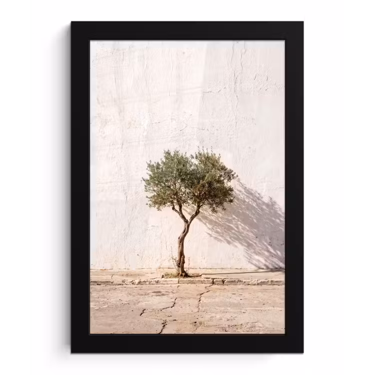Framed Prints - Olive Tree - Wall - White - Olijfboom - muur - wit fotolijst zwart zonder passe partout klein