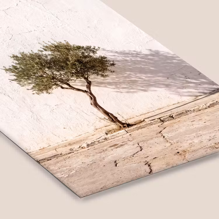 Framed Prints - Olive Tree - Wall - White - Olijfboom - muur - wit fotolijst zwart zonder passe partout klein