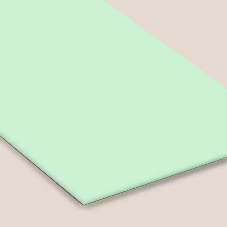 Pale - Mint - Groen fotolijst zwart zonder passe partout klein 224 -zsfeer6