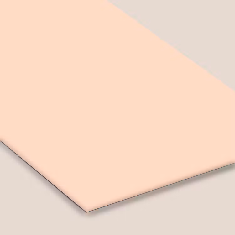 Pale - Peach - Nude fotolijst zwart zonder passe partout klein 224 -zsfeer6