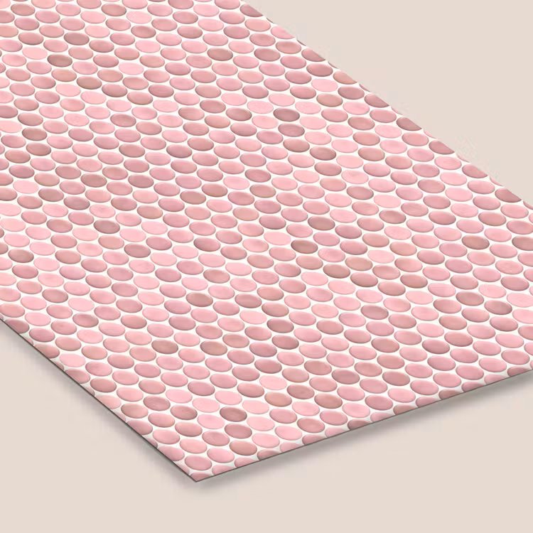 Penny - Mozaïek - Lichtroze fotolijst zwart zonder passe partout klein 224 -zsfeer6