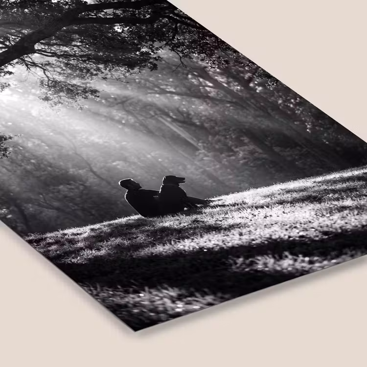 Mens - Hond - Natuur - Zwart-wit - Silhouet fotolijst zwart zonder passe partout klein -zsfeer6