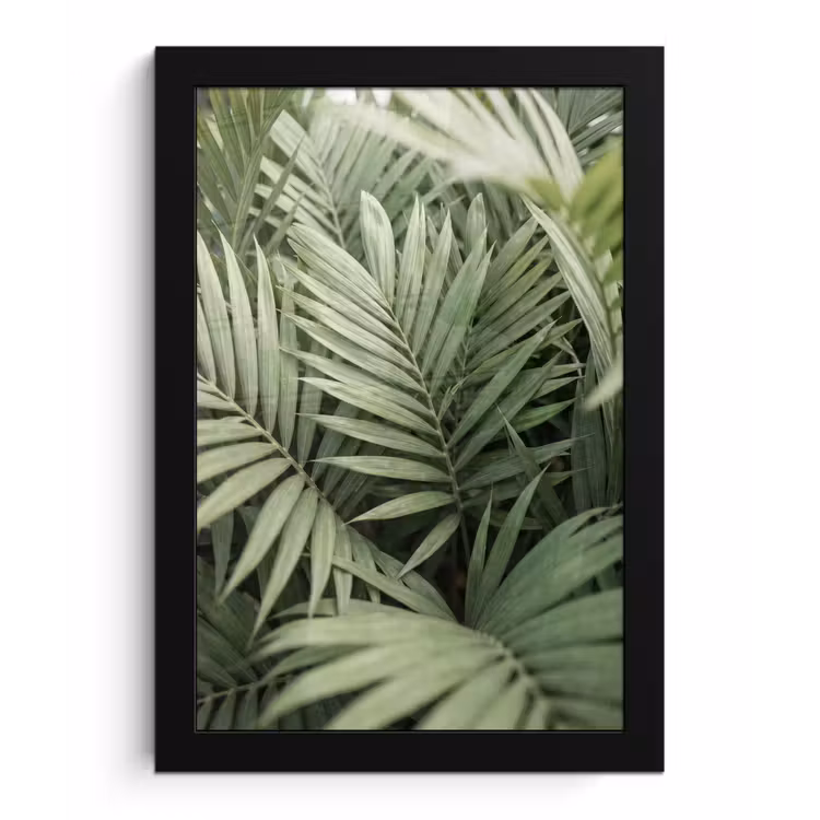 Plant - Palmbladeren - Natuur - Groen fotolijst zwart zonder passe partout klein -3d