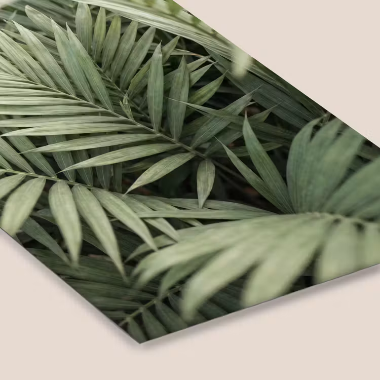 Plant - Palmbladeren - Natuur - Groen fotolijst zwart zonder passe partout klein -zsfeer6