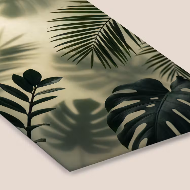 Planten - Bladeren - Schaduwen - Groen - Modern fotolijst zwart zonder passe partout klein -zsfeer6