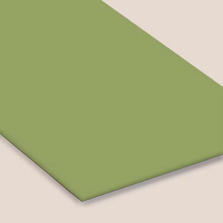 Sage - Green - Groen fotolijst zwart zonder passe partout klein 224 -zsfeer6