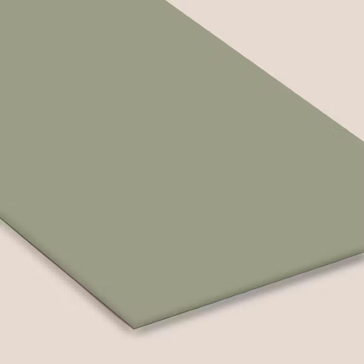Sage - Mist - Groen fotolijst zwart zonder passe partout klein 224 -zsfeer6