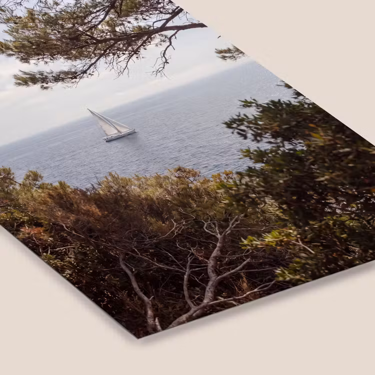 Framed Prints - Sailboat - trees - water - Zeilboot - bomen - water fotolijst zwart zonder passe partout klein