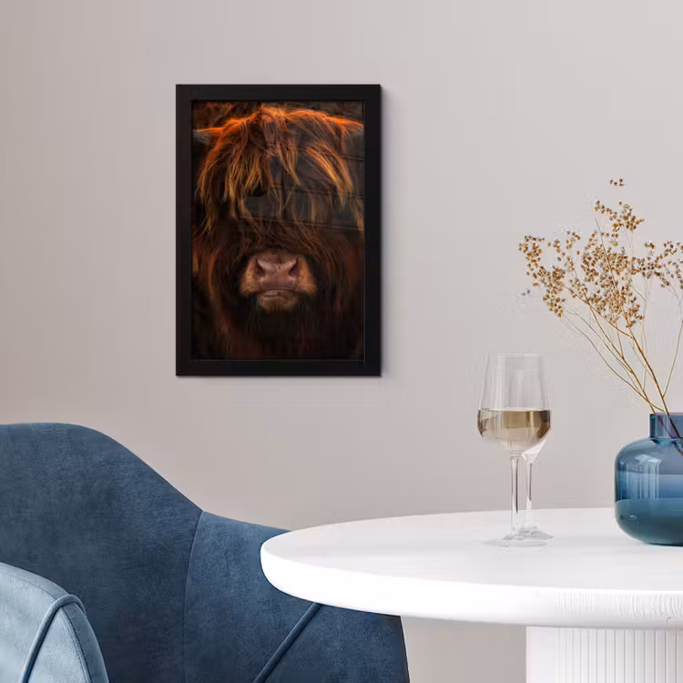Schotse Hooglander - Koe - Zwart - Portret fotolijst zwart zonder passe partout klein -sfeer4