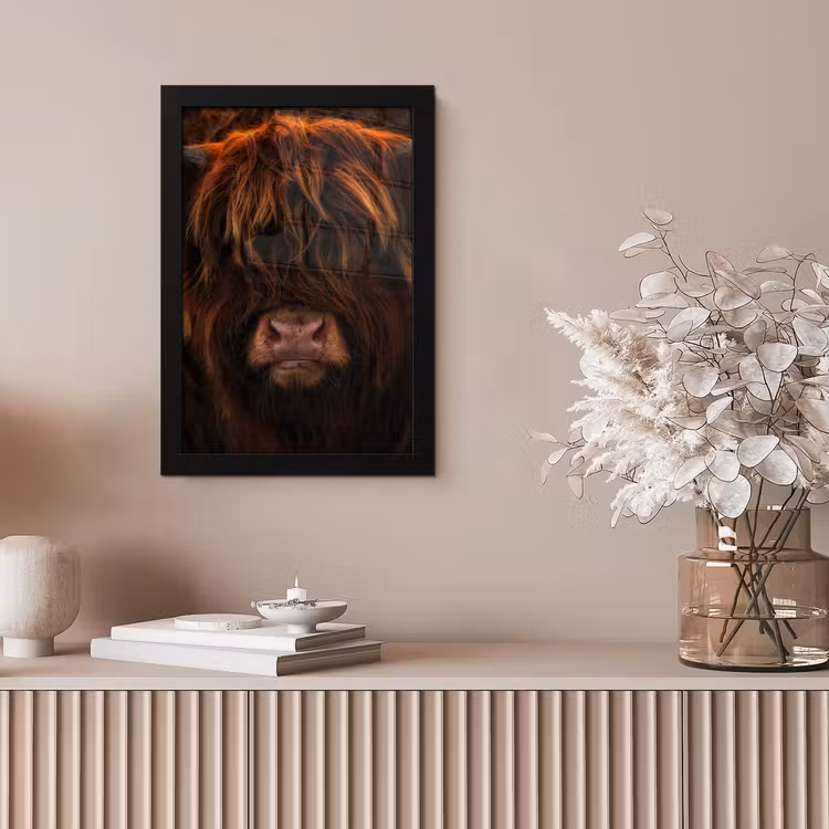 Schotse Hooglander - Koe - Zwart - Portret fotolijst zwart zonder passe partout klein -sfeer5