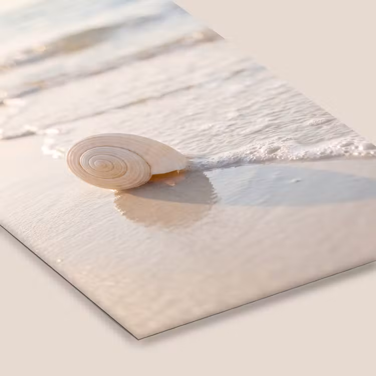 Zeeschelp - Strand - Zee - Natuur - Beige fotolijst zwart zonder passe partout klein -zsfeer6