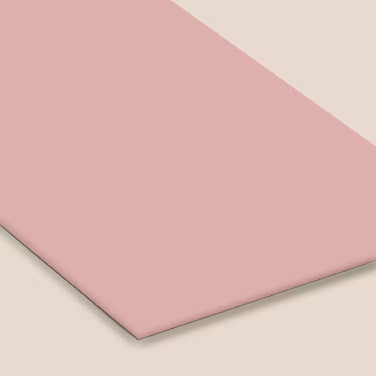 Soft - Blush - Roze fotolijst zwart zonder passe partout klein 224 -zsfeer6