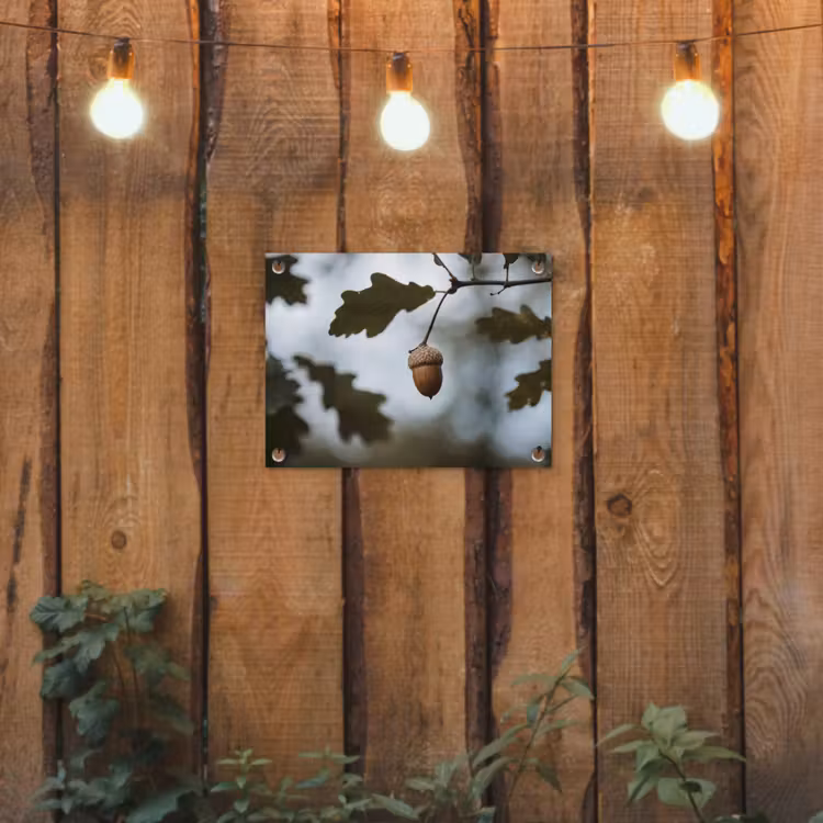Eikel - Eikenblad - Bos - Herfst - Natuur tuinposter los doek klein -sfeer1