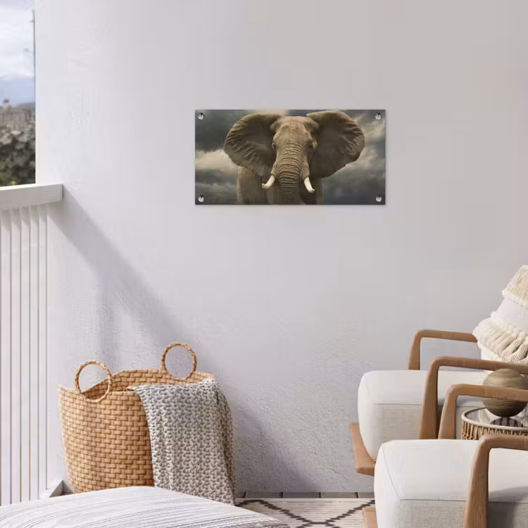 Afrikaanse olifant tegen de donkere wolken tuinposter los doek klein -sfeer8