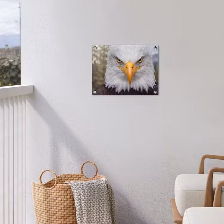 Amerikaans - Zeearend - Portret - Geel tuinposter los doek klein -sfeer8
