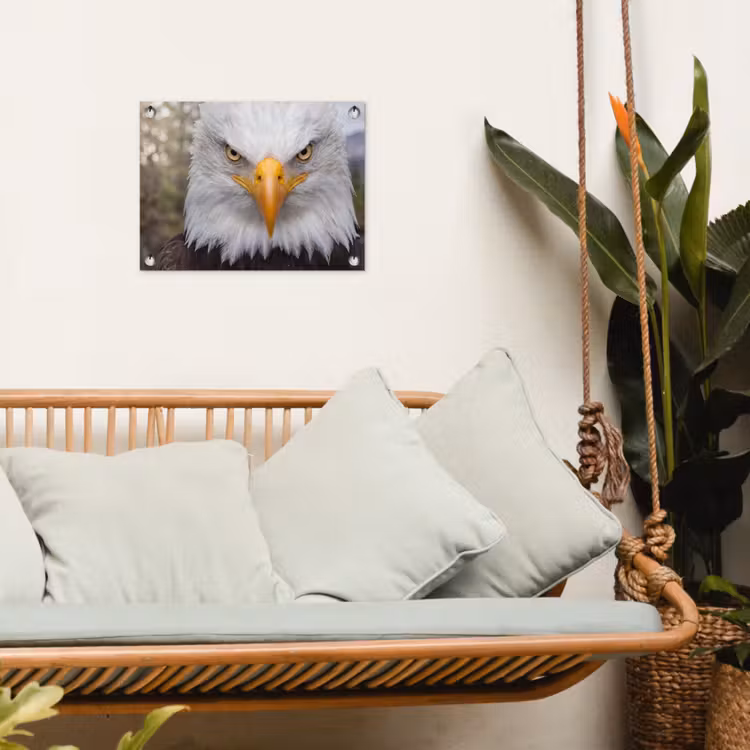 Amerikaans - Zeearend - Portret - Geel tuinposter los doek klein -sfeer7