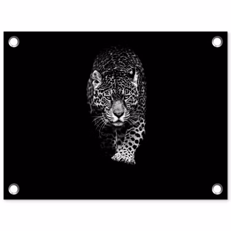Dieren - Zwart - Luipaard - Wit - Wild tuinposter los doek klein -3d