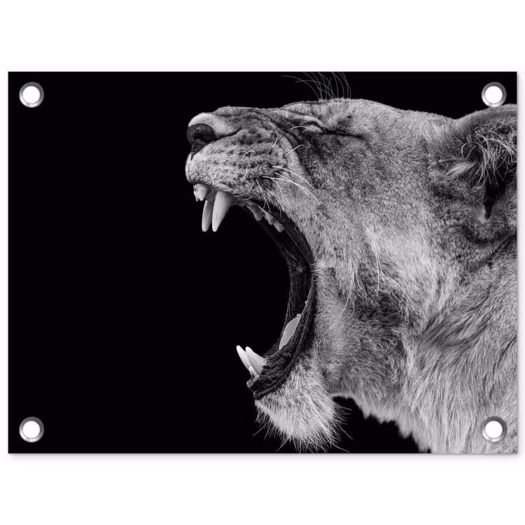 Dieren - Leeuw - Zwart - Wit - Portret tuinposter los doek klein -3d