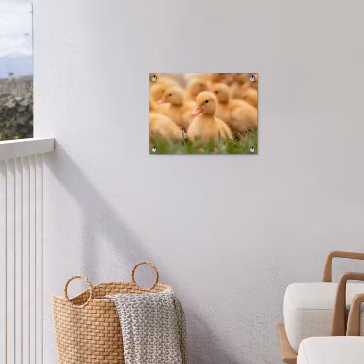 Pijltje - Eend - Natuur - Geel tuinposter los doek klein -sfeer8