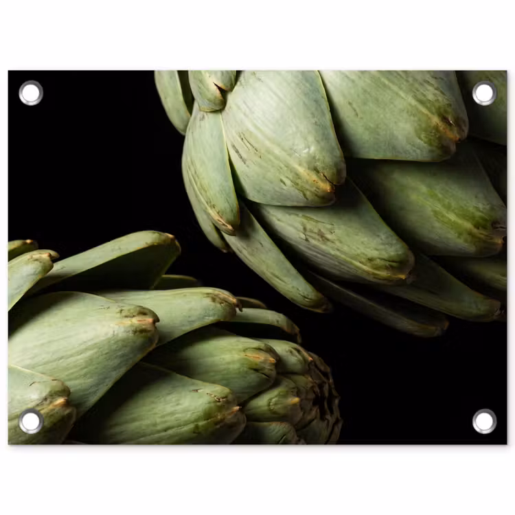 Garden Poster - Artichoke - Green - Food - Artisjok - Groen - Eten tuinposter los doek klein