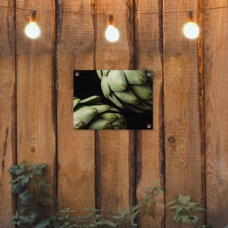 Garden Poster - Artichoke - Green - Food - Artisjok - Groen - Eten tuinposter los doek klein