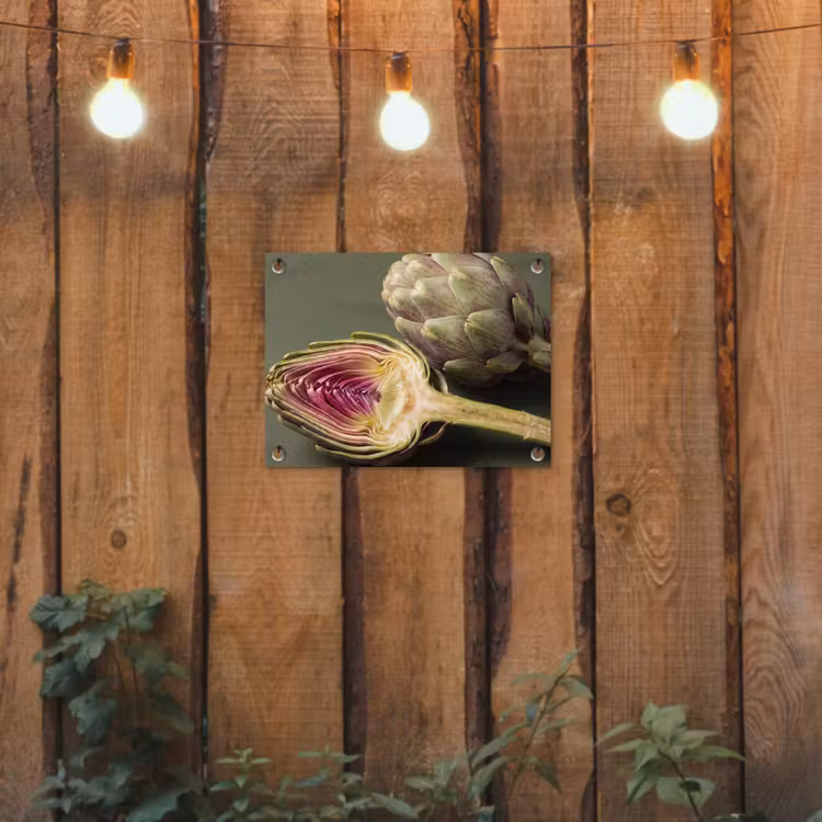 Garden Poster - Artichoke - Purple - Food - Artisjok - Paars - Voedsel tuinposter los doek klein