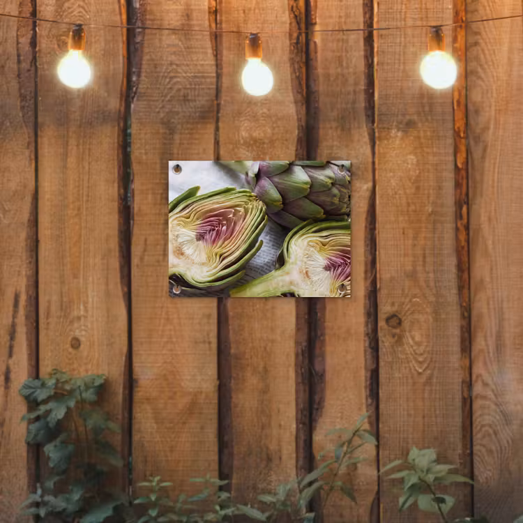 Garden Poster - Artichoke - Sliced - Food - Artisjok - Doorgesneden - Eten tuinposter los doek klein