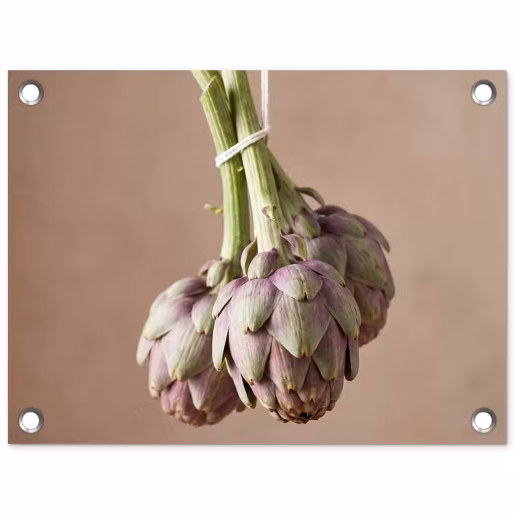 Garden Poster - Artichokes - Hanging - Vegetables - Artisjokken - Hangend - Groenten tuinposter los doek klein