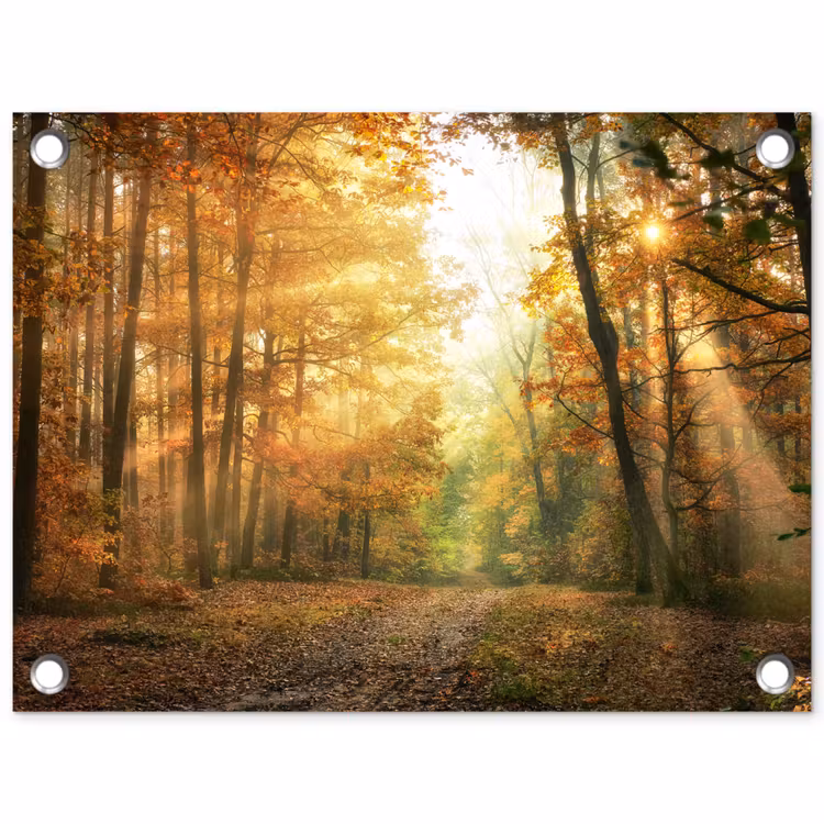 Herfstbos in gouden zonlicht tuinposter los doek klein -3d