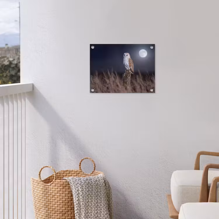 Kerkuil - Maan - Nacht tuinposter los doek klein -sfeer8