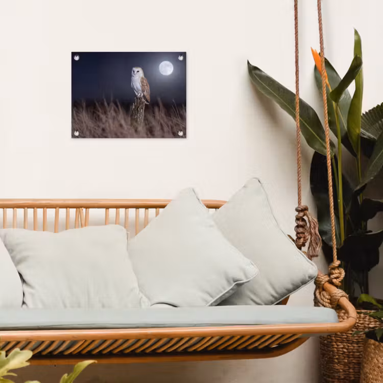 Kerkuil - Maan - Nacht tuinposter los doek klein -sfeer7