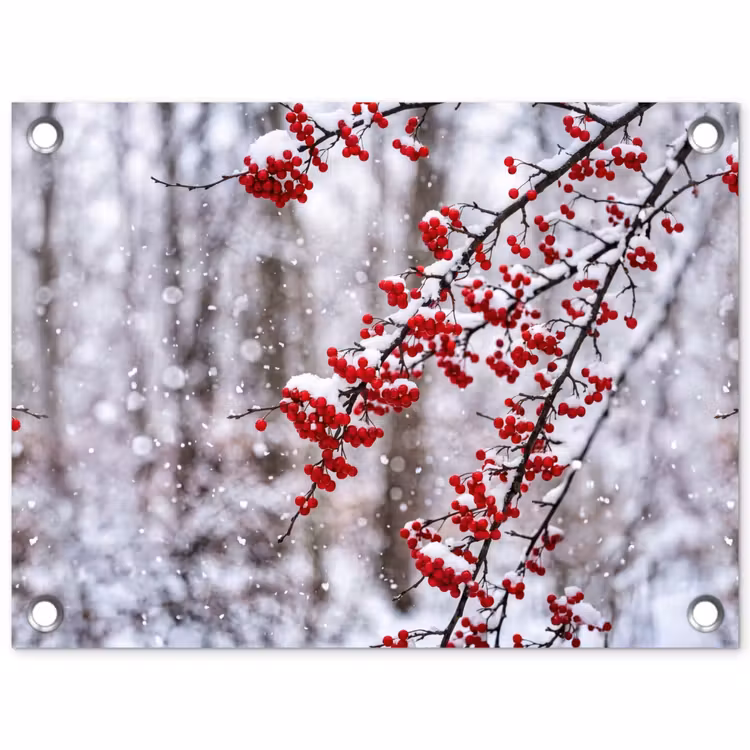 Bessen - Takken - Sneeuw - Winter - Kleurrijk tuinposter los doek klein -3d