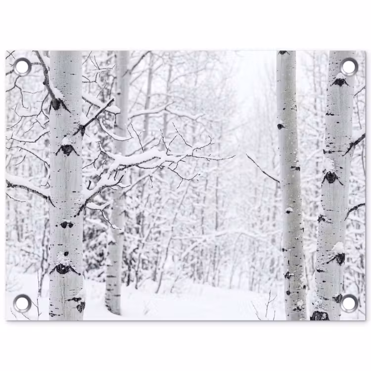 Berkenbomen - Sneeuw - Winter - Bos - Wit tuinposter los doek klein -3d