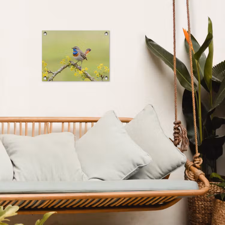 Vogel - Tak - Natuur - Kleurrijk tuinposter los doek klein -sfeer7