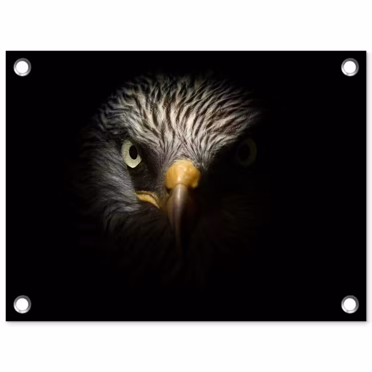 Vogel - Adelaar - Roofvogels - Oog - Snavel - Licht tuinposter los doek klein -3d