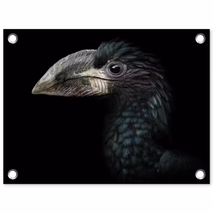 Vogel - Portret - Neushoornvogel - Zwart - Dieren tuinposter los doek klein -3d