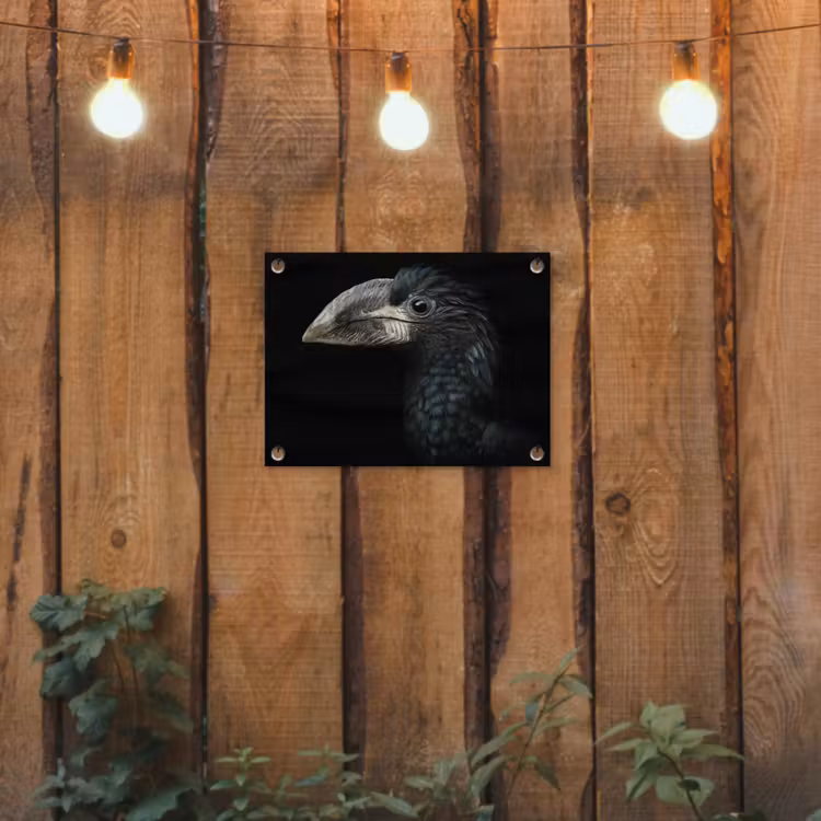 Vogel - Portret - Neushoornvogel - Zwart - Dieren tuinposter los doek klein -sfeer1