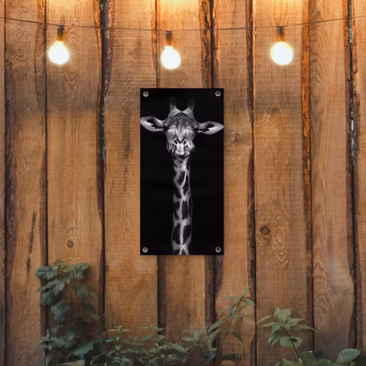 Zwart-wit portret van een giraffe tuinposter los doek klein -sfeer1