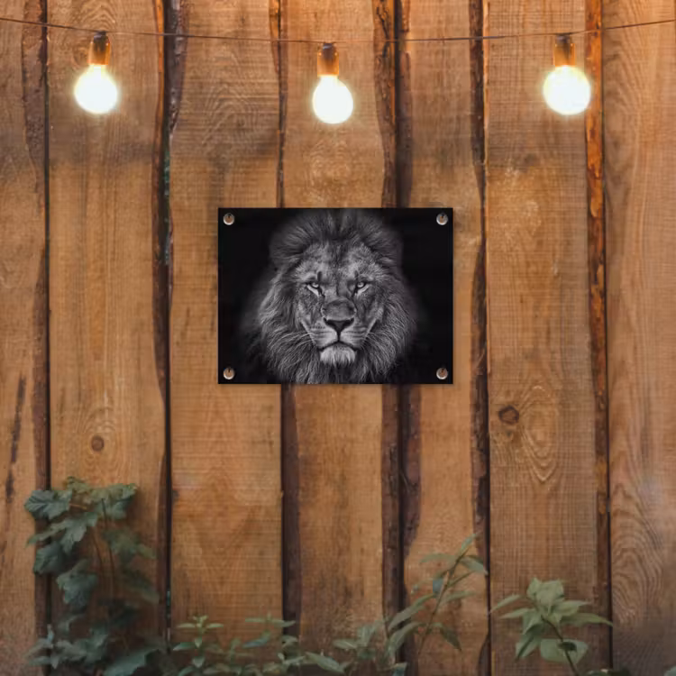 Zwart-wit portret van een leeuw tuinposter los doek klein -sfeer1