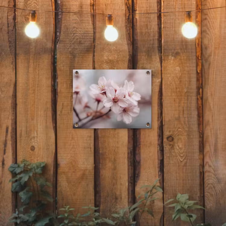 Bloesems - Meeldraden - Geel - Wazig tuinposter los doek klein -sfeer1