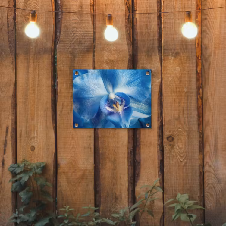Blauw - Orchidee - Elegeant tuinposter los doek klein -sfeer1