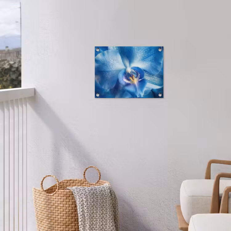 Blauw - Orchidee - Elegeant tuinposter los doek klein -sfeer8