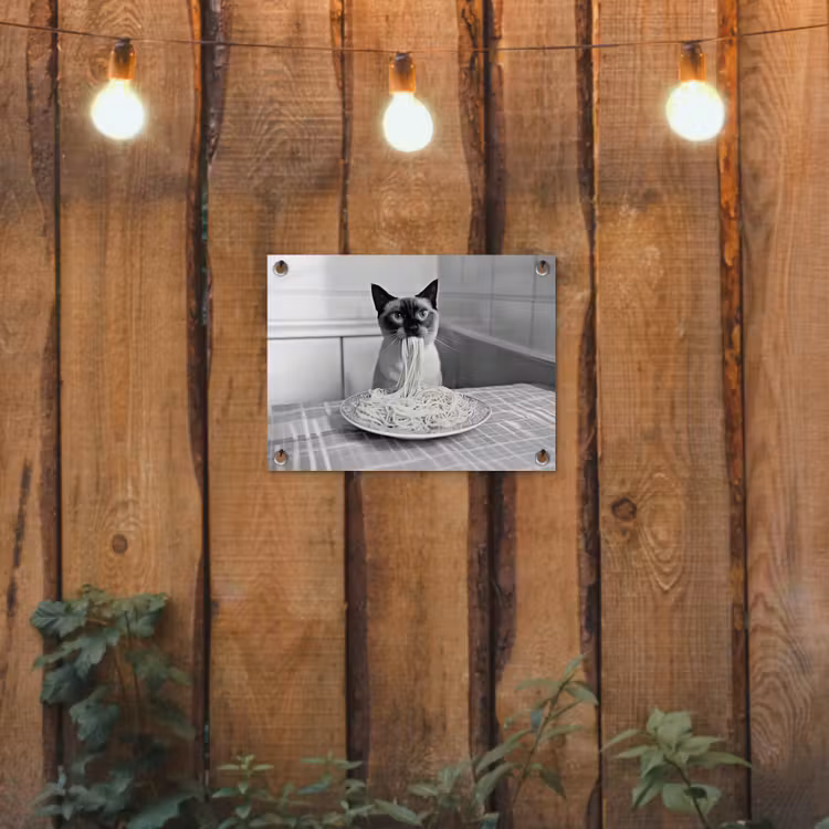 Kat - Siamees - Zwart Wit - Schattig - Dieren tuinposter los doek klein -sfeer1