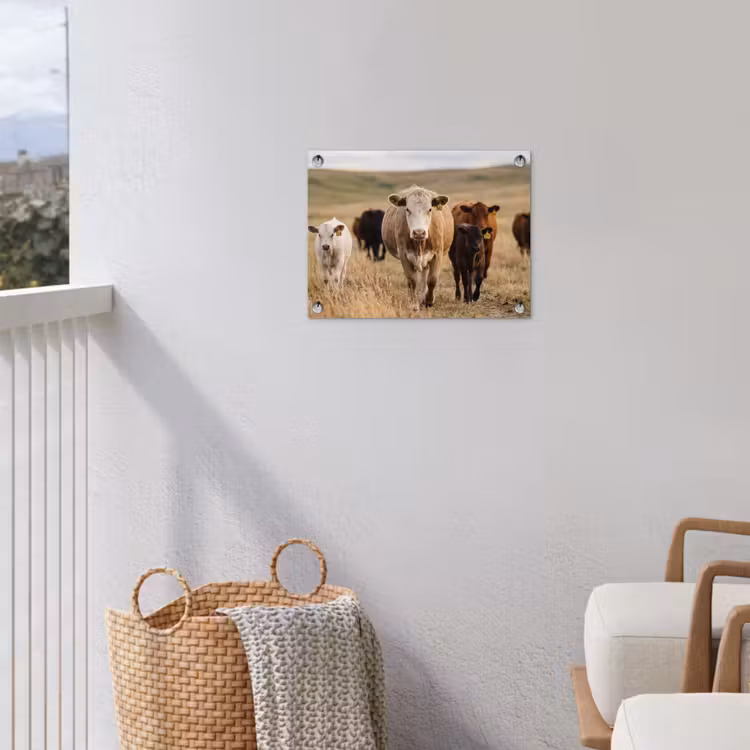 Runderen - Kudde - Landschap - Weide - Rustig tuinposter los doek klein -sfeer8