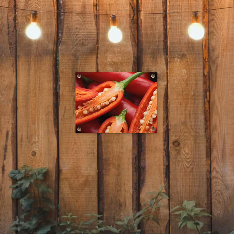 Garden Poster - Chili Pepper - Open - Red - Chilipeper - Open - Rood tuinposter los doek klein