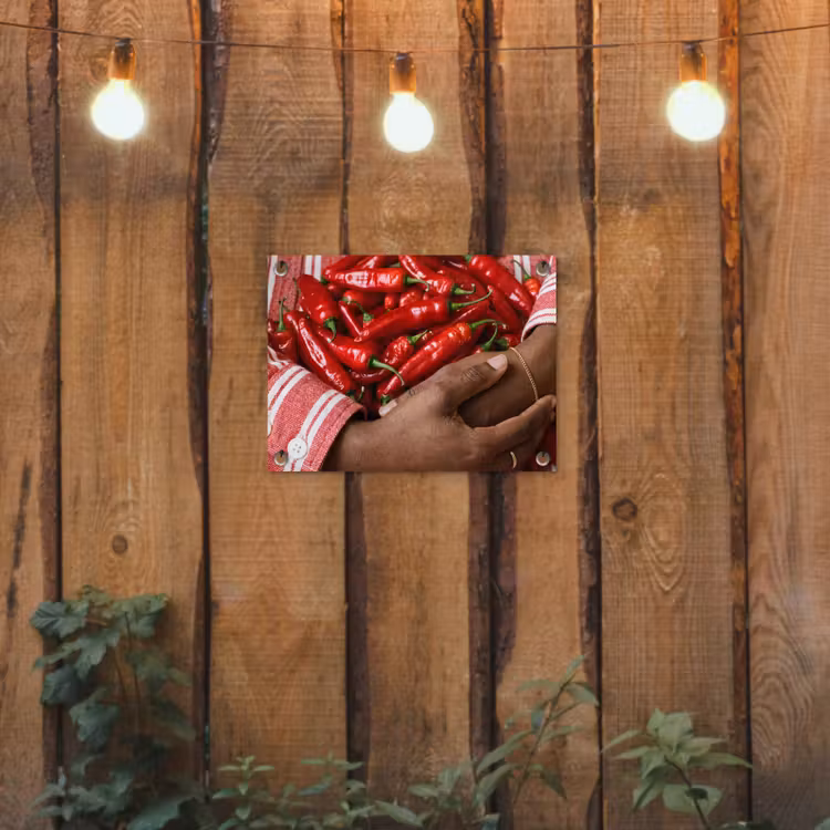 Garden Poster - Chili Peppers - Red - Hands - Chilipepers - Rood - Handen tuinposter los doek klein