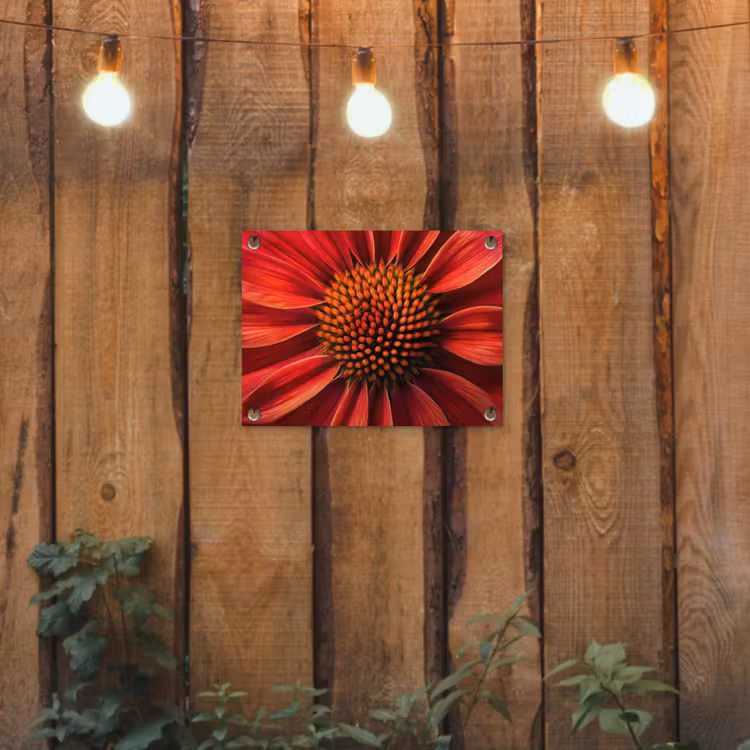 Close up - Bloem- Rood tuinposter los doek klein -sfeer1