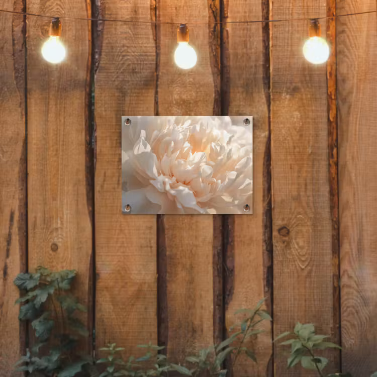 Close up - Pioenroos - Lichtroze tuinposter los doek klein -sfeer1
